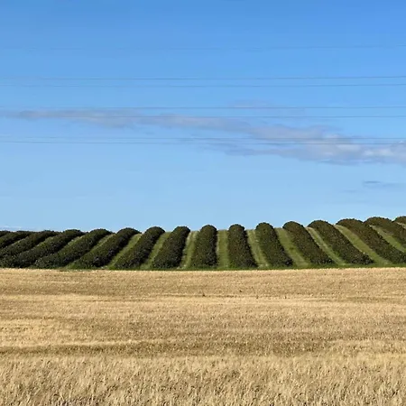 Seaside Serenity At Lyng-by Traum Yderby